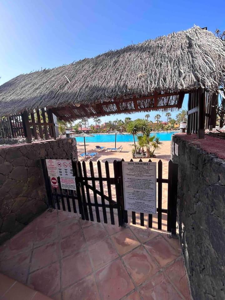 Sun & Sea Apartment In Corralejo Eksteriør bilde