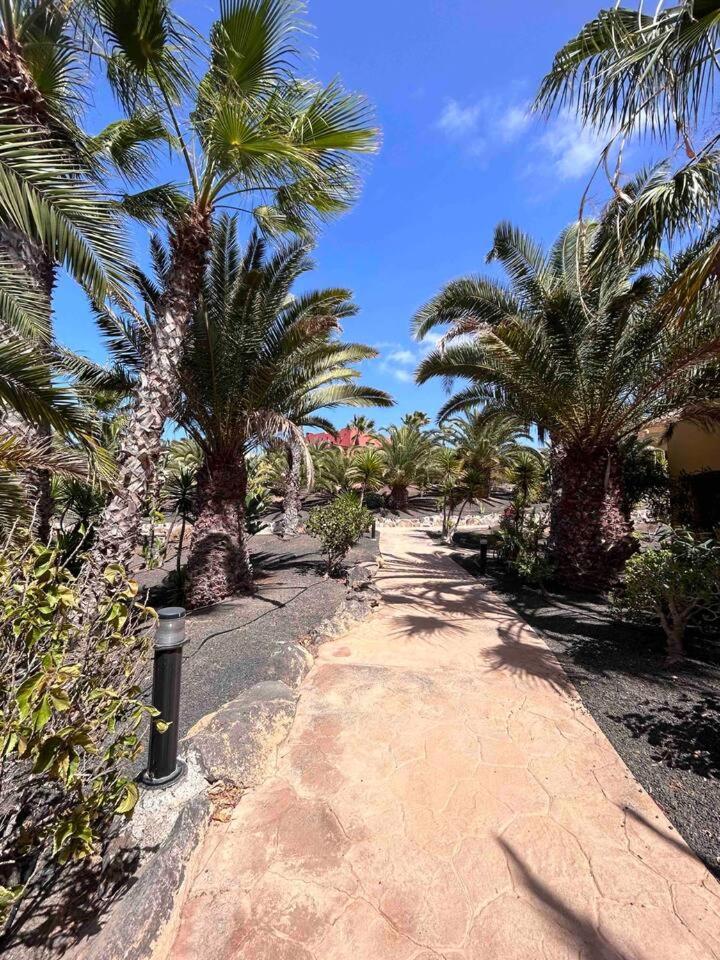 Sun & Sea Apartment In Corralejo Eksteriør bilde